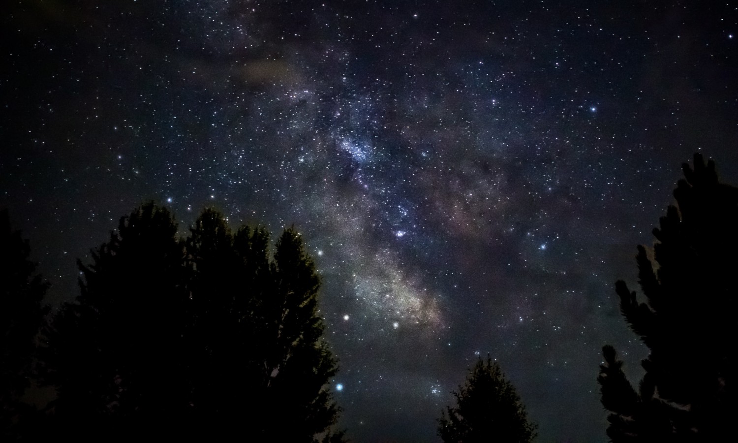 Stargazing at Torrance Barrens Dark Sky Preserve